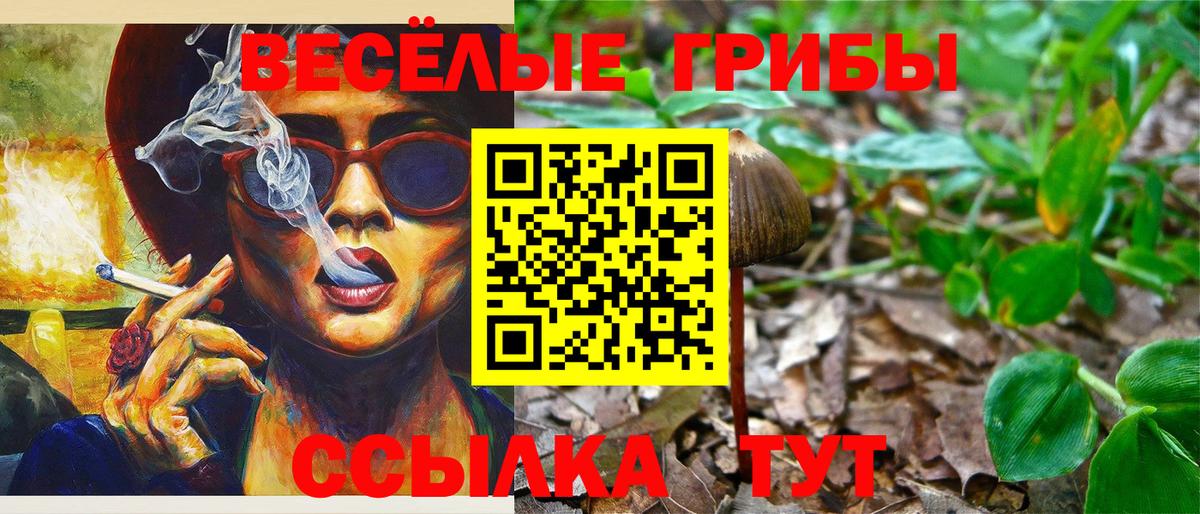 Горно-Алтайск  Галлюциногенные грибы Psilocybe  наркотики  Вход с VPN 